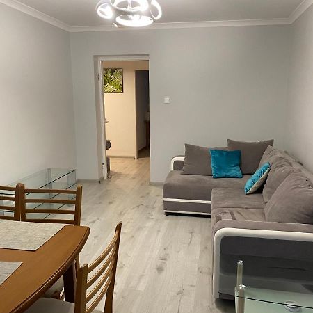 Apartament Przy Katedrze Gorzow Wielkopolski Exterior photo